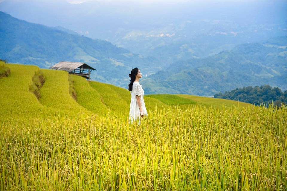 ניתן להזמין פגישות של חצי שעה במהלך שבוע AVN