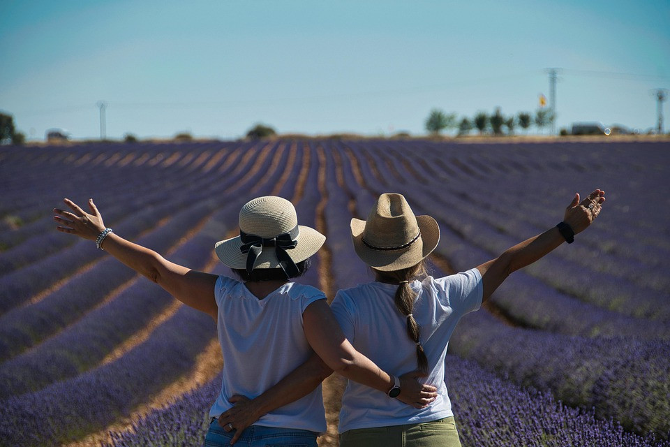 העולם החופשי של הסווינג: מסע בהיסטוריה, בתרבות ובשחרור המודרני