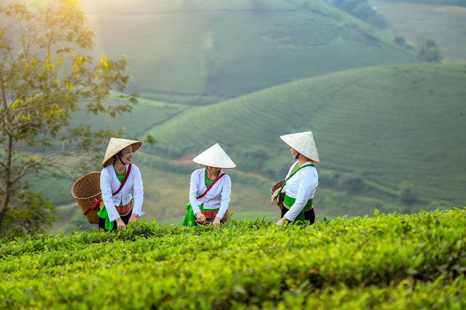 מה באמת מגלות חלומות עם תוכן מיני אודותינו?